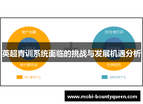 英超青训系统面临的挑战与发展机遇分析 英超青训系统面临的挑战与发展机遇分析