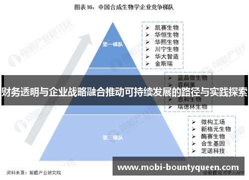 财务透明与企业战略融合推动可持续发展的路径与实践探索 财务透明与企业战略融合推动可持续发展的路径与实践探索