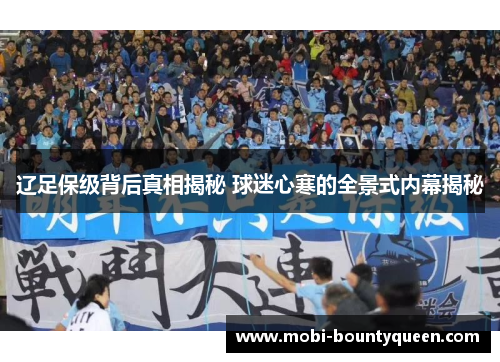 辽足保级背后真相揭秘 球迷心寒的全景式内幕揭秘